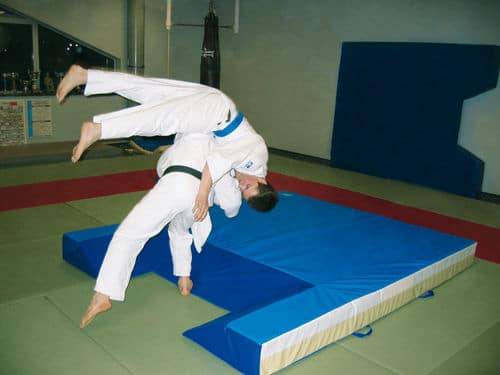 Perf&fit Préparation Physique Coaching Sportif Paris - Tatami Judo
